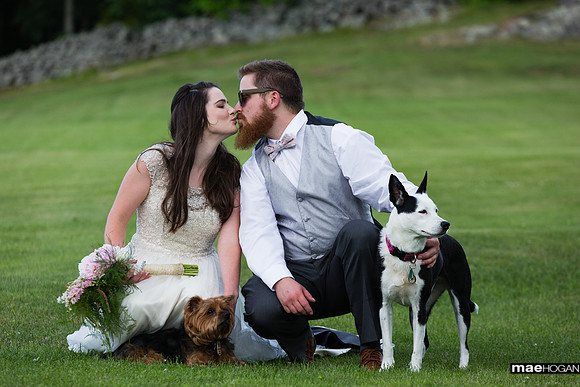 Bride and groom with their dogs