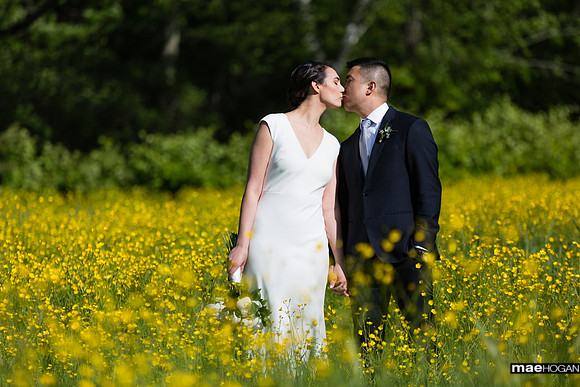 Bride and groom in a field of buttercups at the Rocks Estate in Bethlehem NH