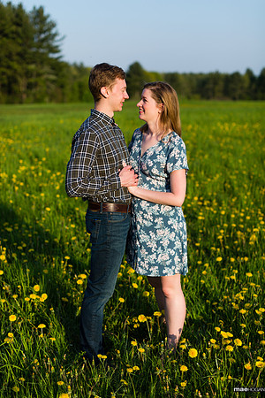 Engaged couple in a field of dandelions
